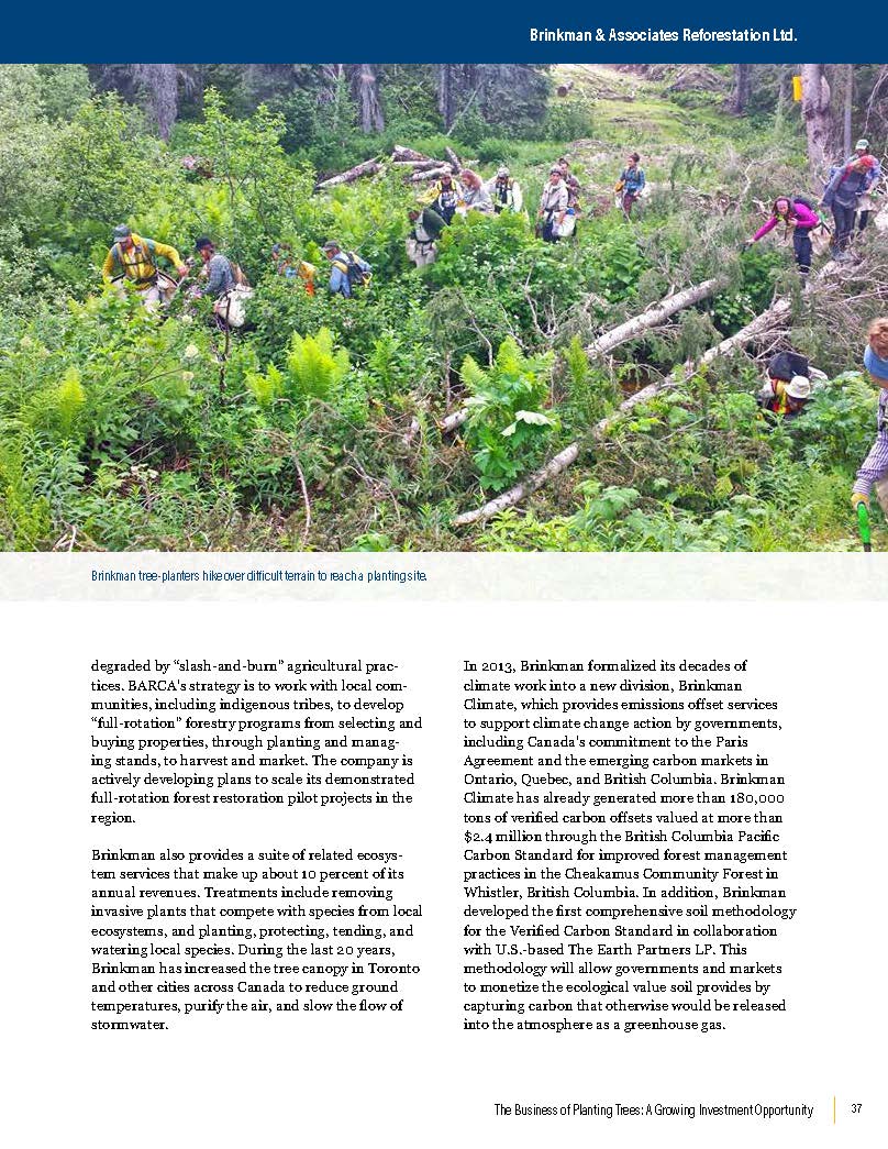 business-planting-trees_Brinkman Profile Excerpt 1_Page_2.jpg business-planting-trees_Brinkman Profile Excerpt 1_Page_2.jpg
